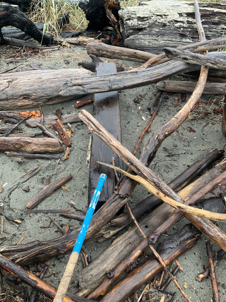 a blue toothbrush lays on the ground (MyCoast AI)