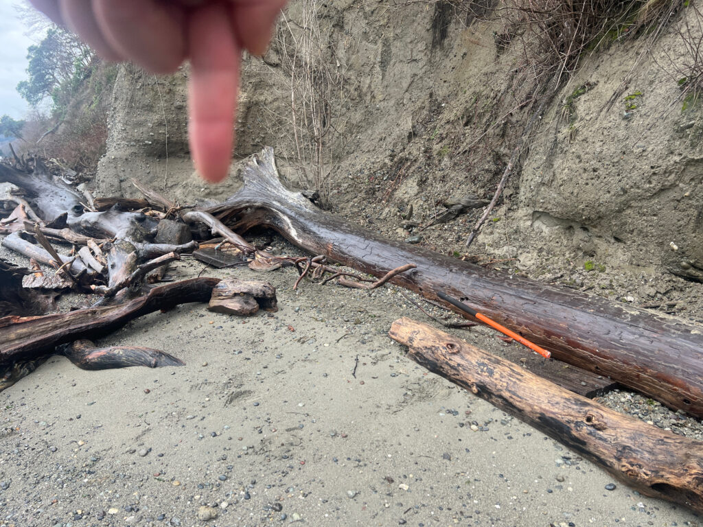 a hand holding a stick over a pile of wood (MyCoast AI)