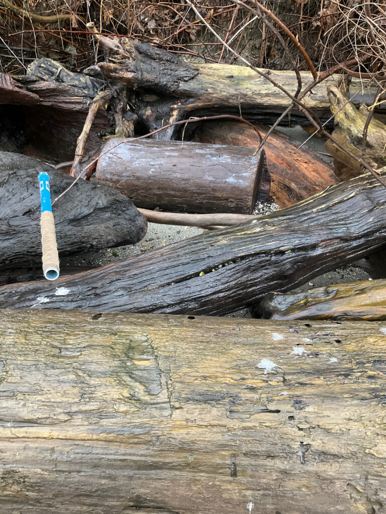 a blue baseball bat on a log (MyCoast AI)