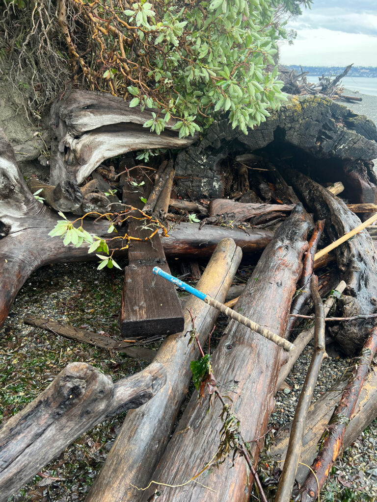 a pile of wood and sticks (MyCoast AI)