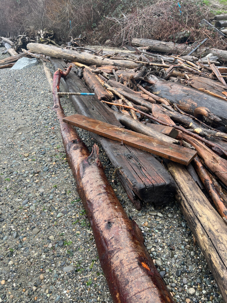a pile of wood (MyCoast AI)