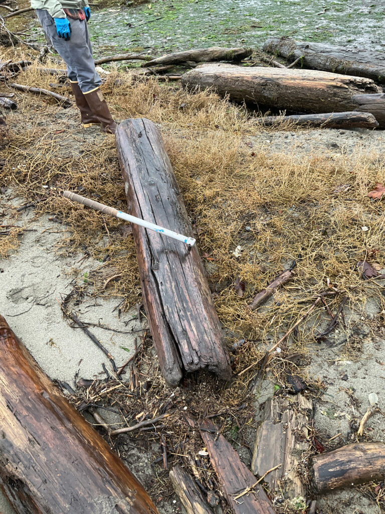 a person standing next to a wood structure on the ground (MyCoast AI)
