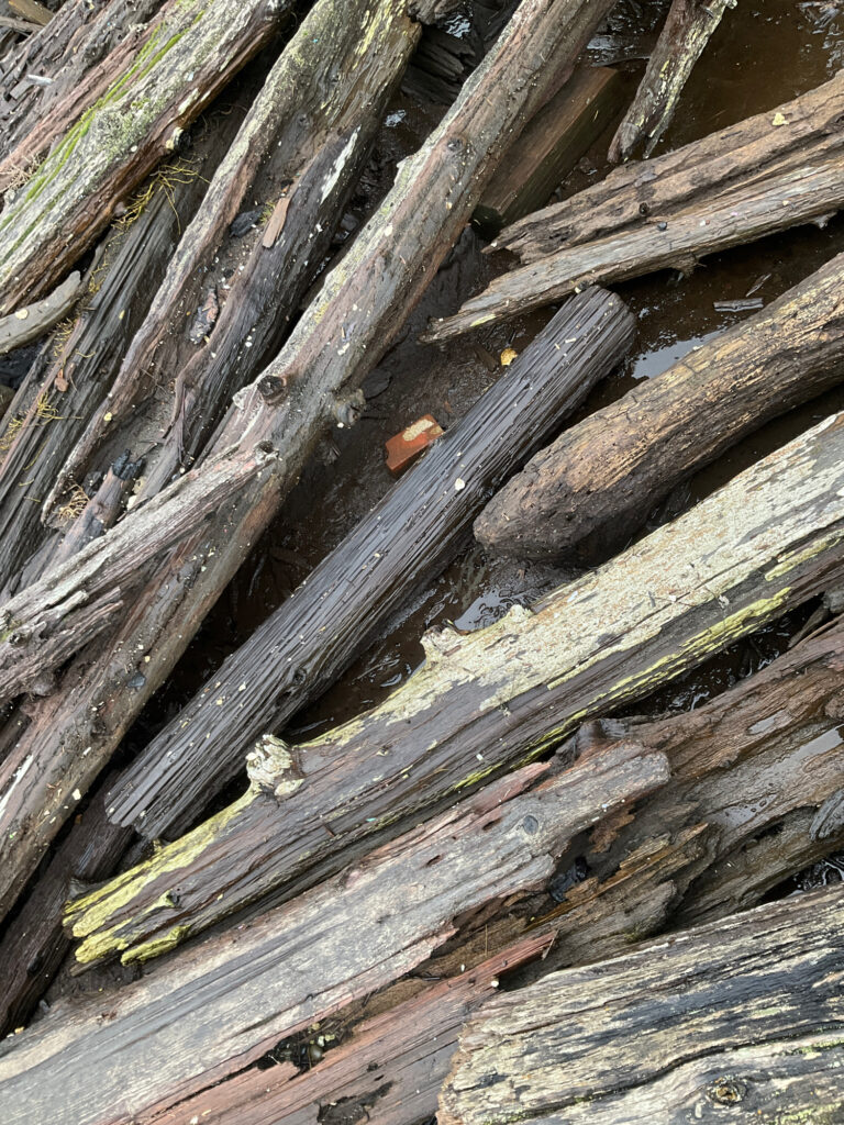 a close-up of some wood (MyCoast AI)