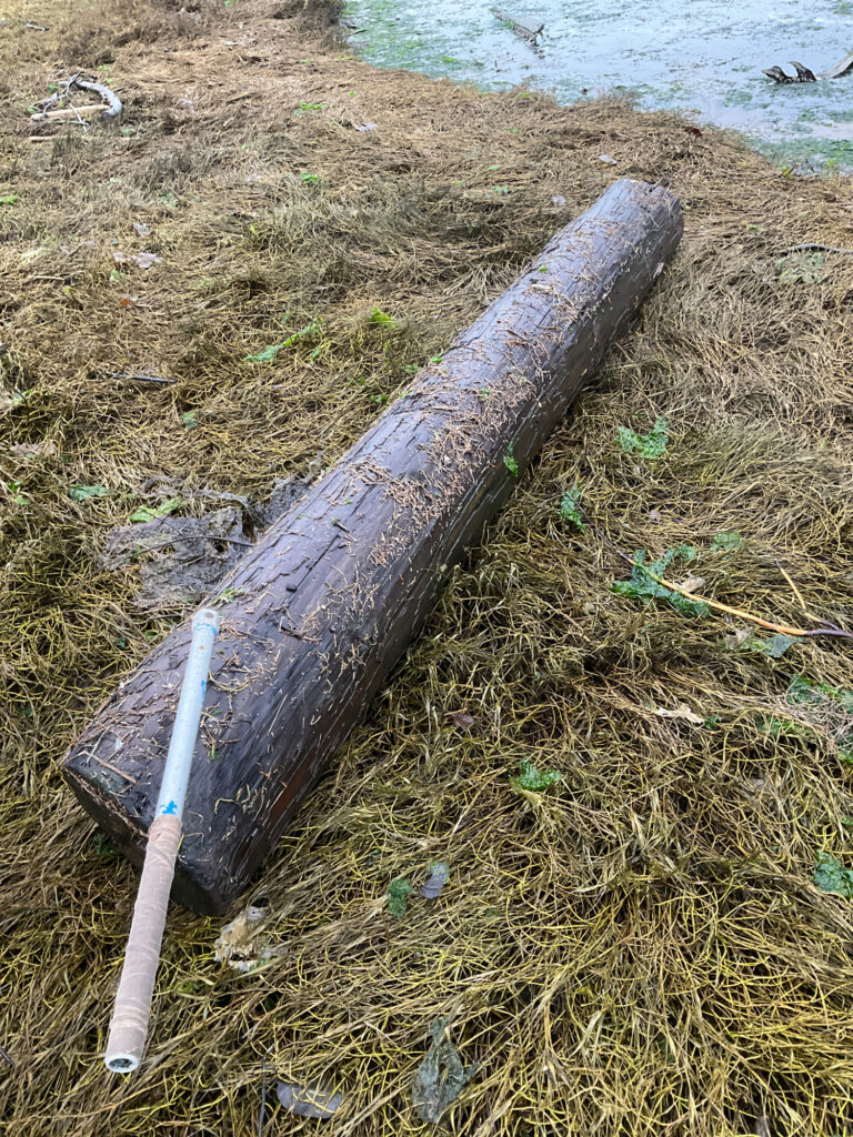 a wooden bench on the ground (MyCoast AI)