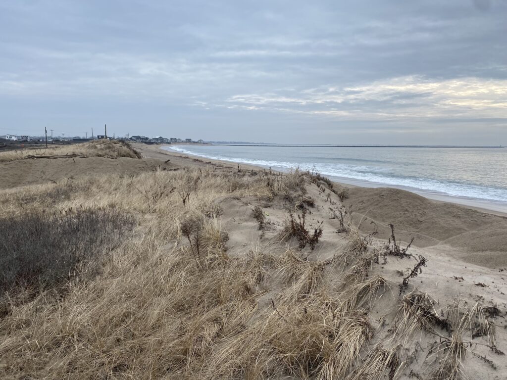 a sandy beach with water and a cloudy sky (MyCoast AI)