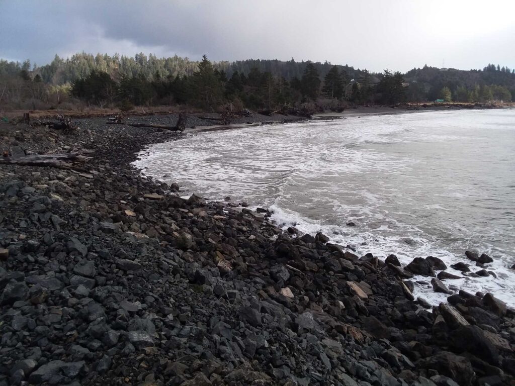 a rocky shore with a body of water and trees in the background (MyCoast AI)