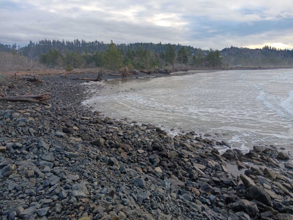 a rocky shore with trees in the background (MyCoast AI)