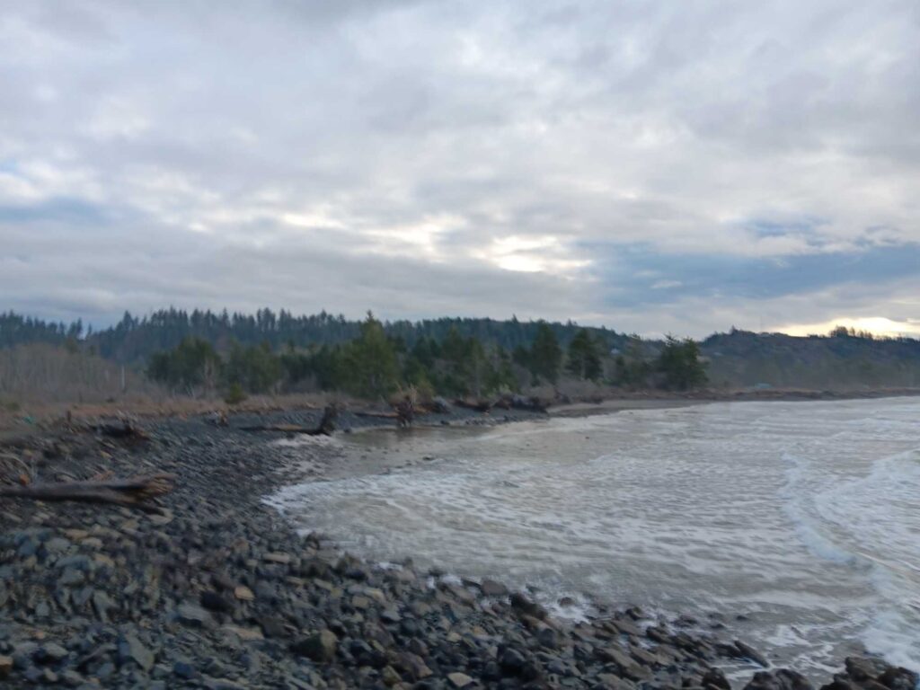 a rocky shore with trees in the background (MyCoast AI)
