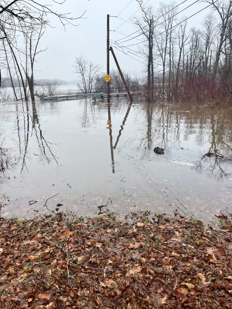 a flooded area with trees (MyCoast AI)