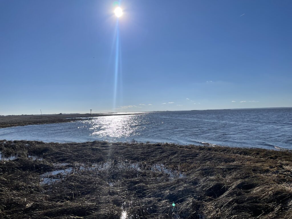a beach with a body of water and a bright light in the sky (MyCoast AI)