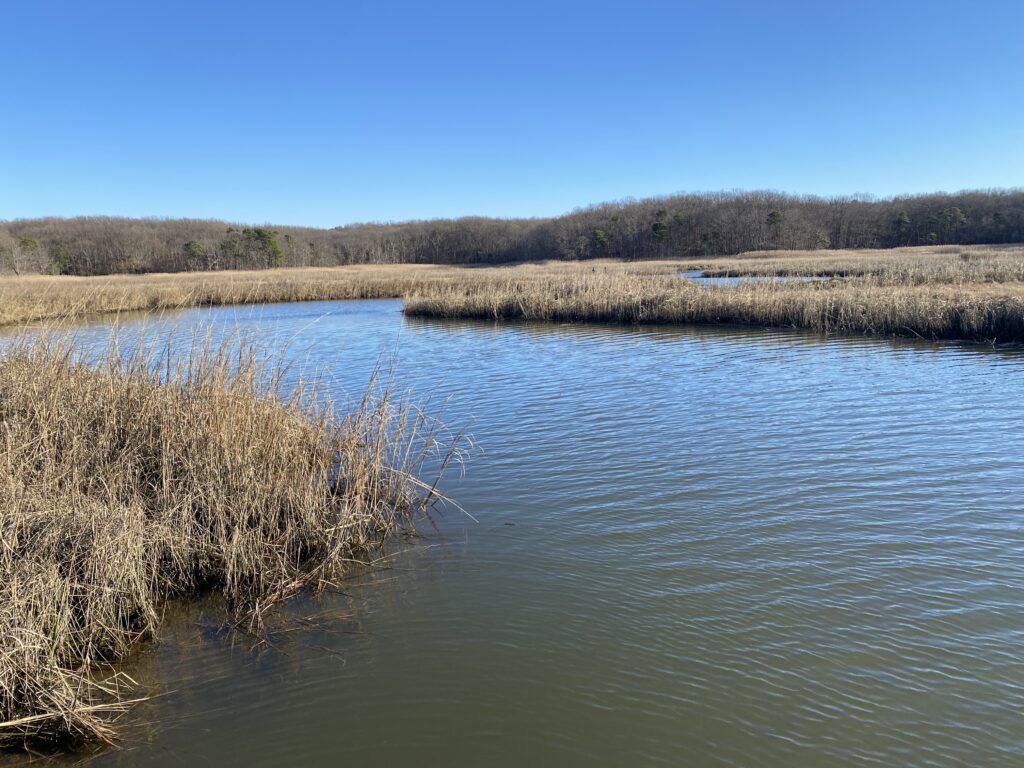 a body of water with grass and trees around it (MyCoast AI)