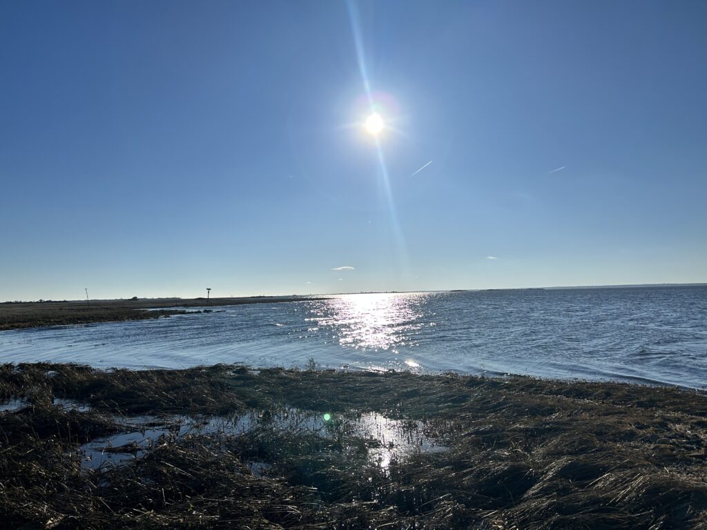 a body of water with a beach and a bright sun (MyCoast AI)