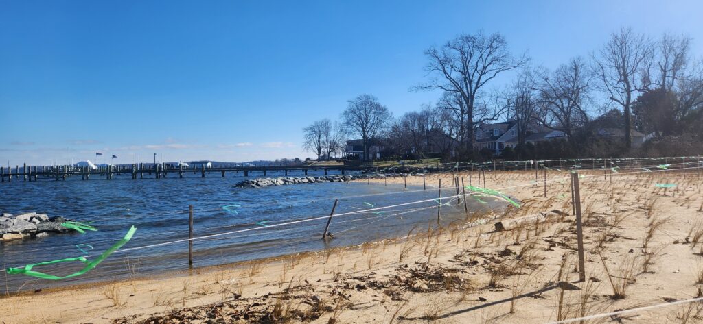 a beach with a fence and trees (MyCoast AI)