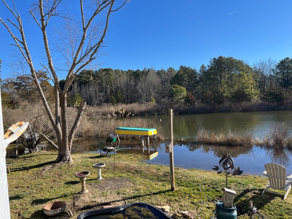 a lake with a picnic table and chairs and a picnic table (MyCoast AI)