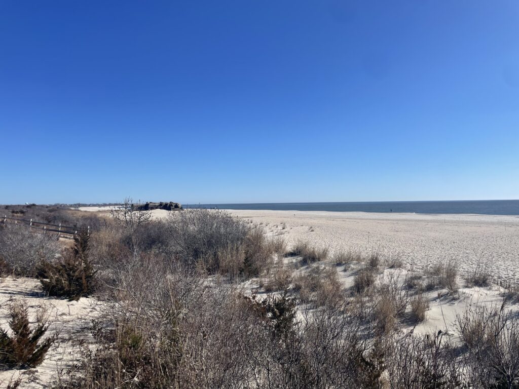 a field of dry grass (MyCoast AI)