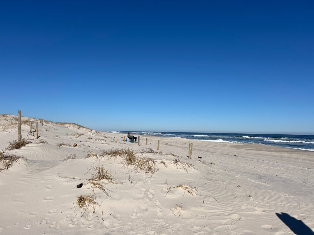 a sandy beach with a body of water in the background (MyCoast AI)