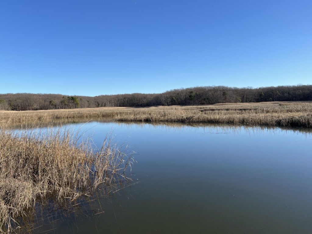 a body of water with grass and trees in the background (MyCoast AI)