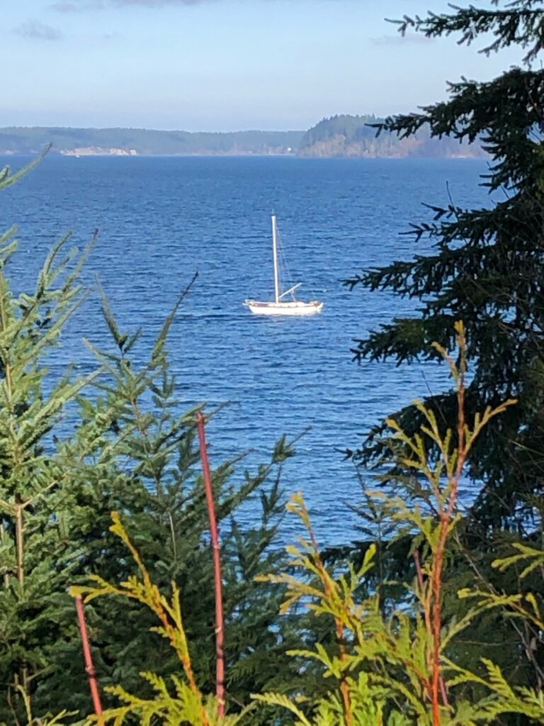 a boat in the water (MyCoast AI)