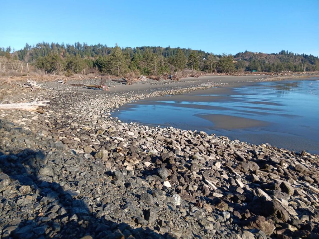 a rocky beach with trees in the background (MyCoast AI)