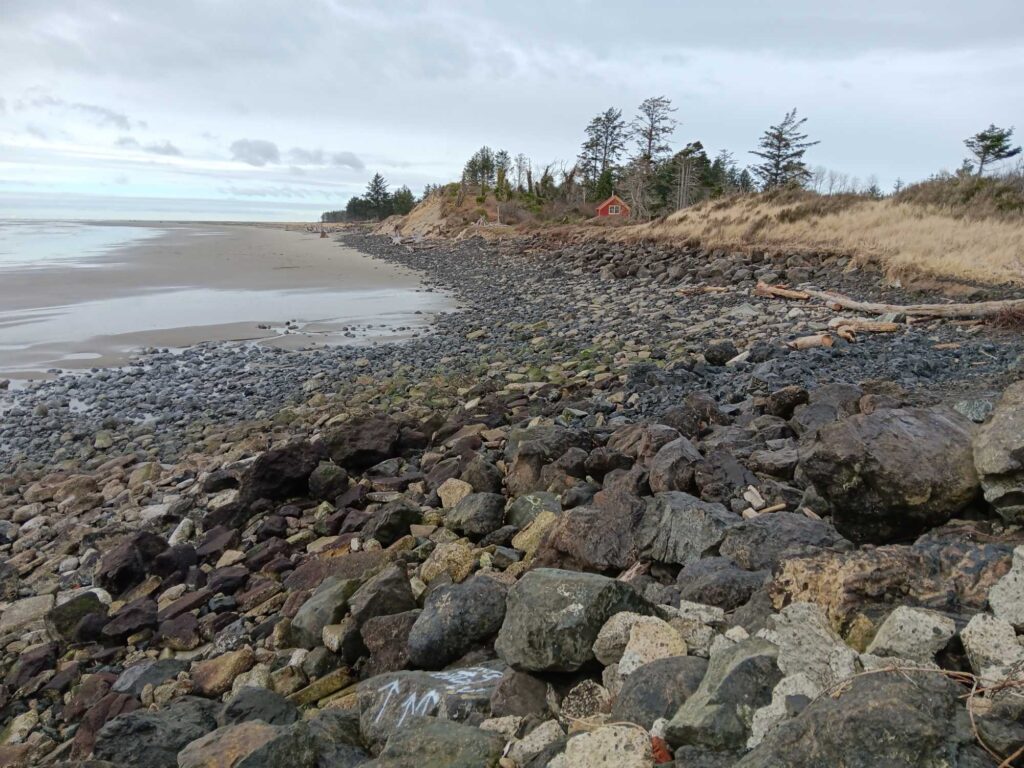 a rocky beach with trees and a body of water in the background (MyCoast AI)