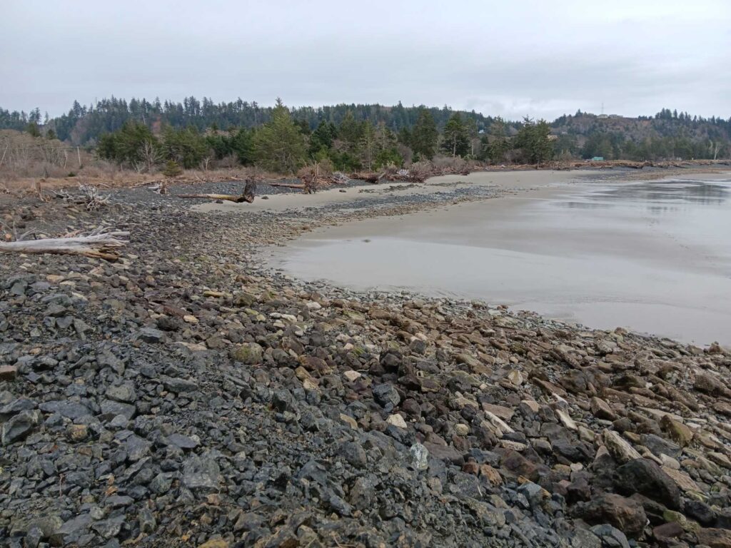 a rocky beach with trees in the background (MyCoast AI)