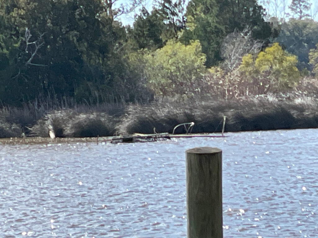 a lake with a group of birds (MyCoast AI)