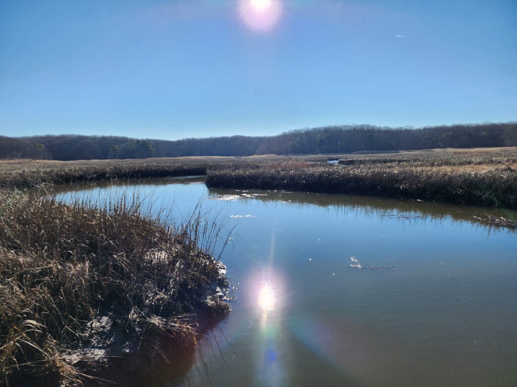 a body of water with grass and trees around it (MyCoast AI)