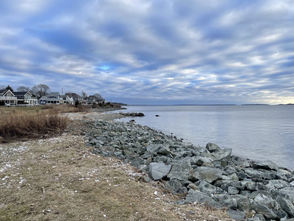 a rocky beach with houses and water (MyCoast AI)