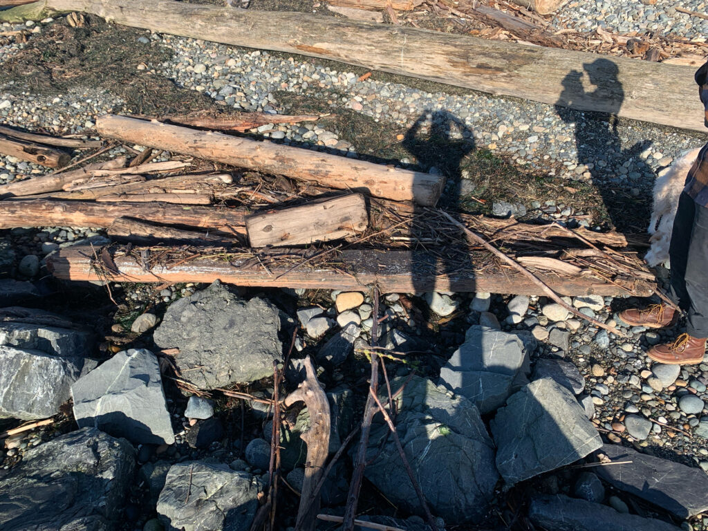 a pile of wood (MyCoast AI)