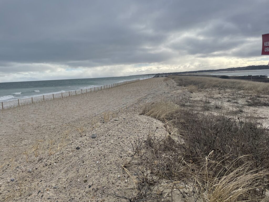 a sandy beach with bushes and water (MyCoast AI)