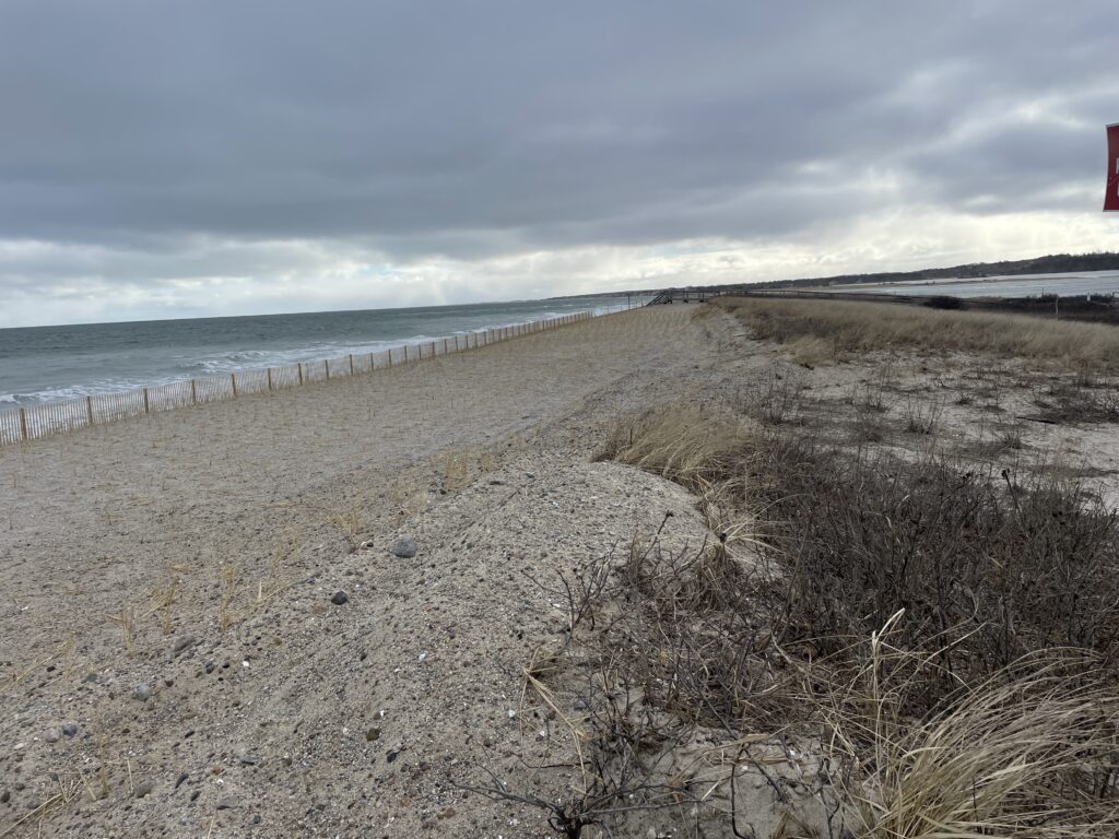 a sandy beach with bushes and a fence (MyCoast AI)