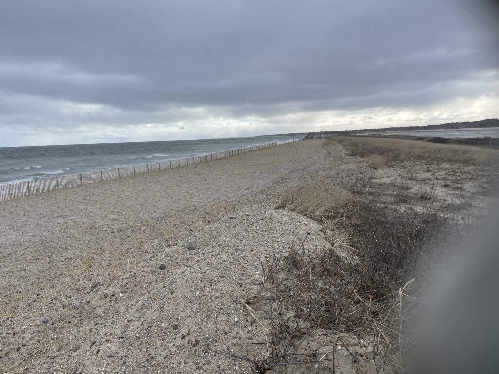 a sandy beach with a fence (MyCoast AI)