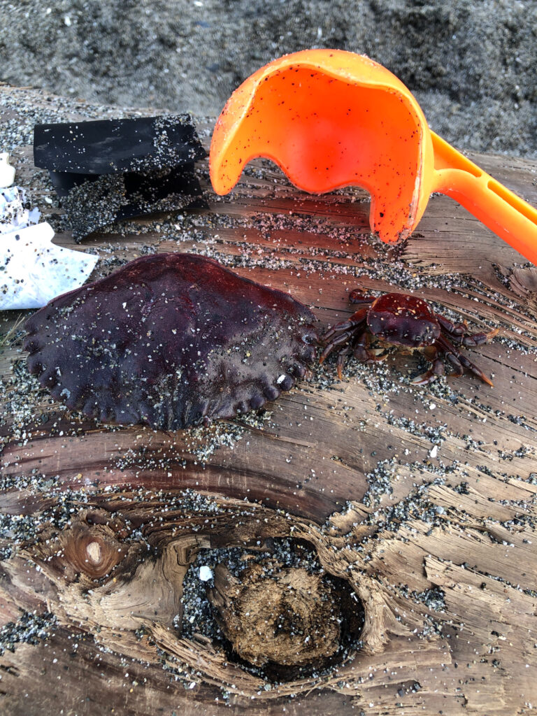 a close-up of a shovel (MyCoast AI)