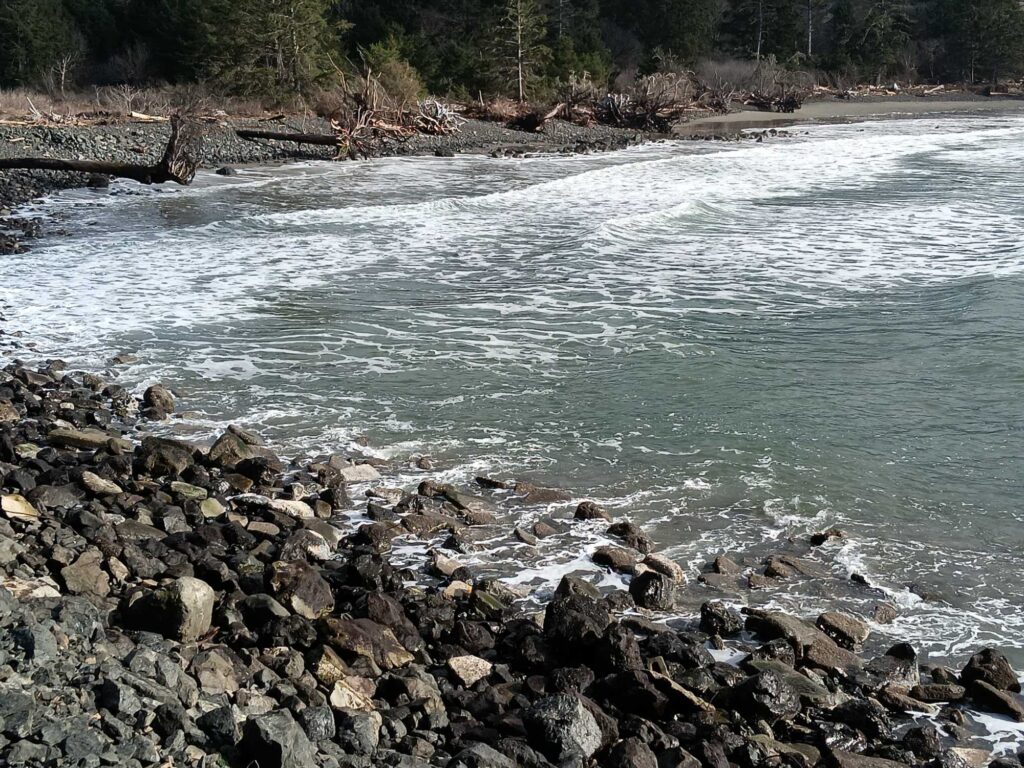 a river with rocks and trees (MyCoast AI)