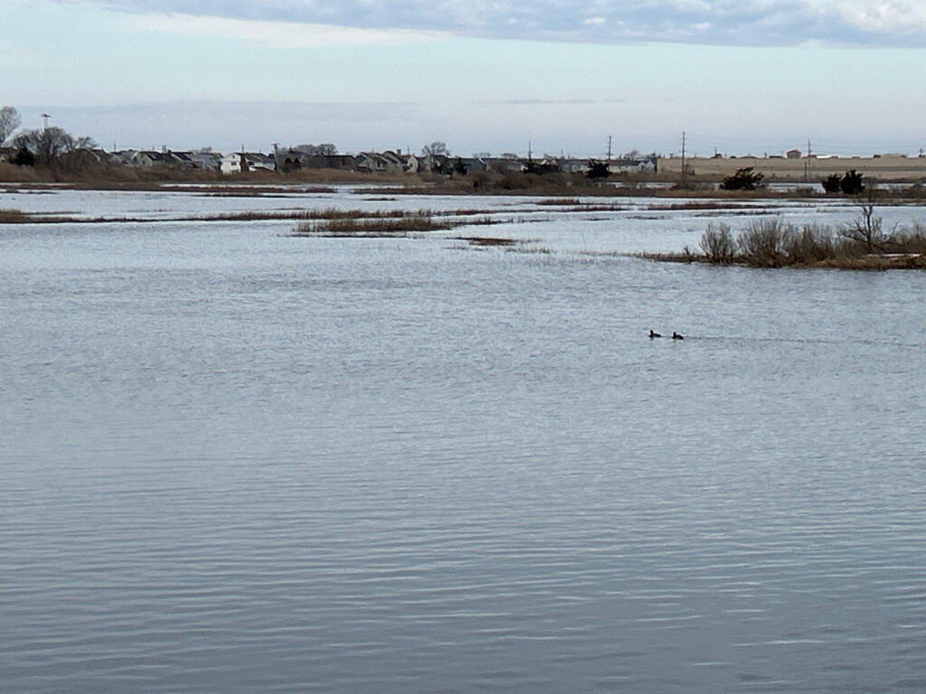 a body of water with land in the background (MyCoast AI)