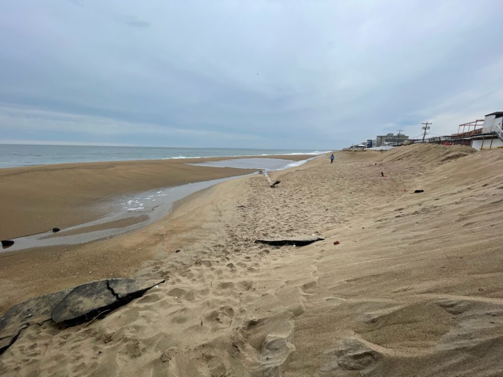 a sandy beach with a pier and a large turtle (MyCoast AI)
