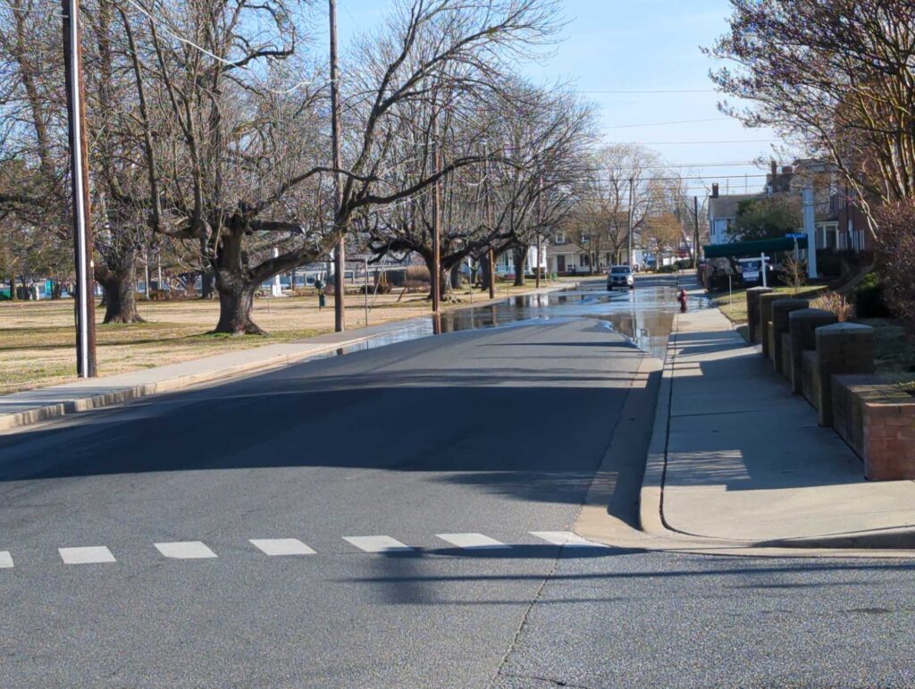 a street with trees on the side (MyCoast AI)