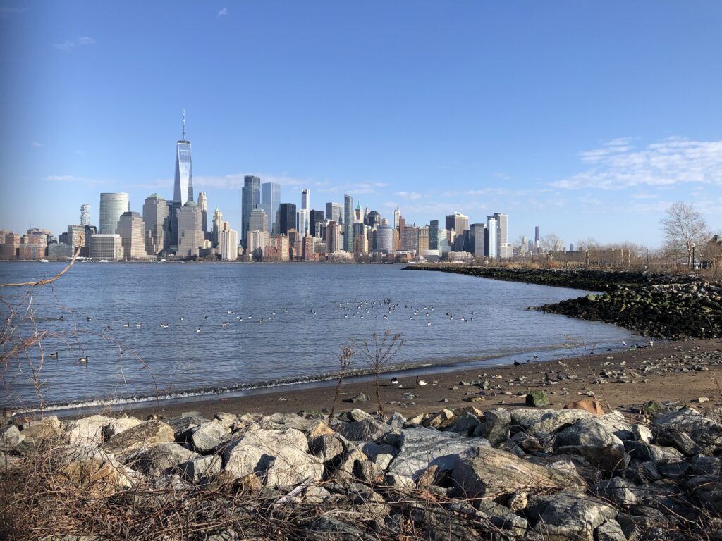 a city skyline across a body of water (MyCoast AI)