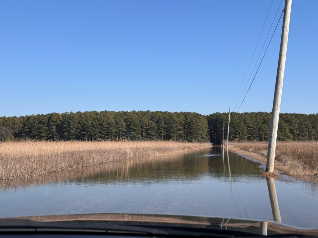 a river with a field and trees in the background (MyCoast AI)