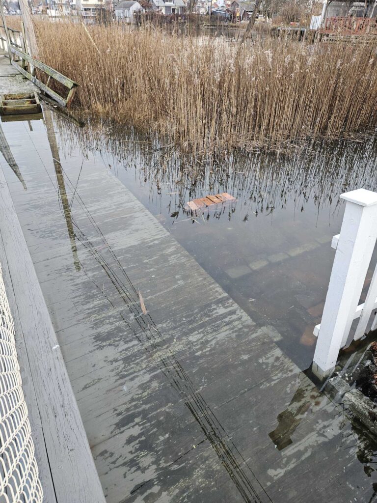 a small pond with a small duck in it (MyCoast AI)