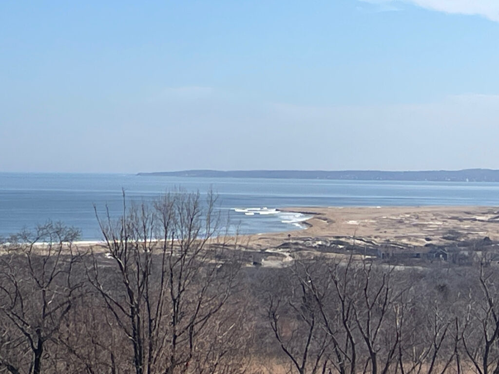 a landscape with trees and water in the background (MyCoast AI)
