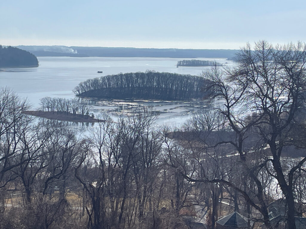 a body of water with trees around it (MyCoast AI)