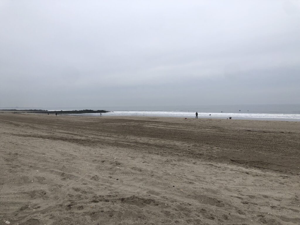 a person walking on a beach (MyCoast AI)