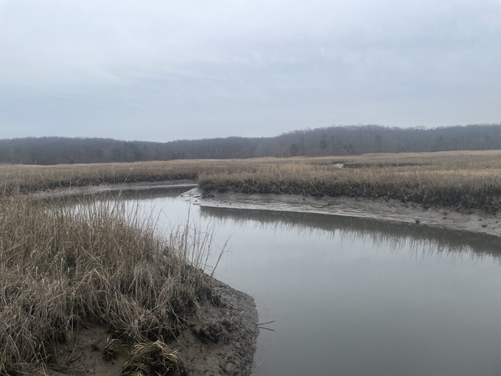 a body of water with grass and trees around it (MyCoast AI)