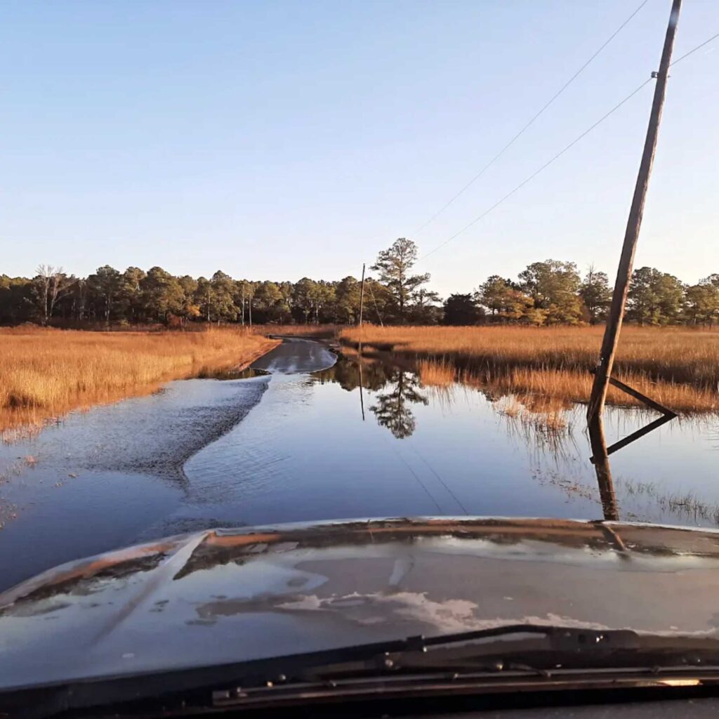 a river with a field and trees (MyCoast AI)