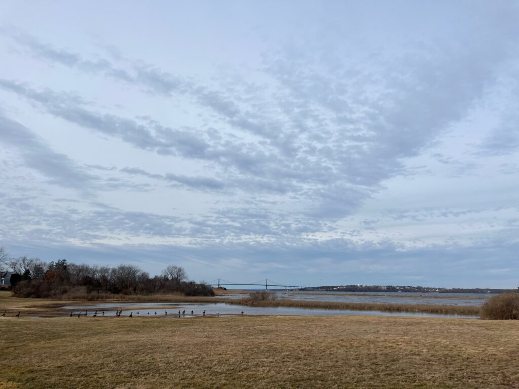 a large field with a bridge in the distance (MyCoast AI)