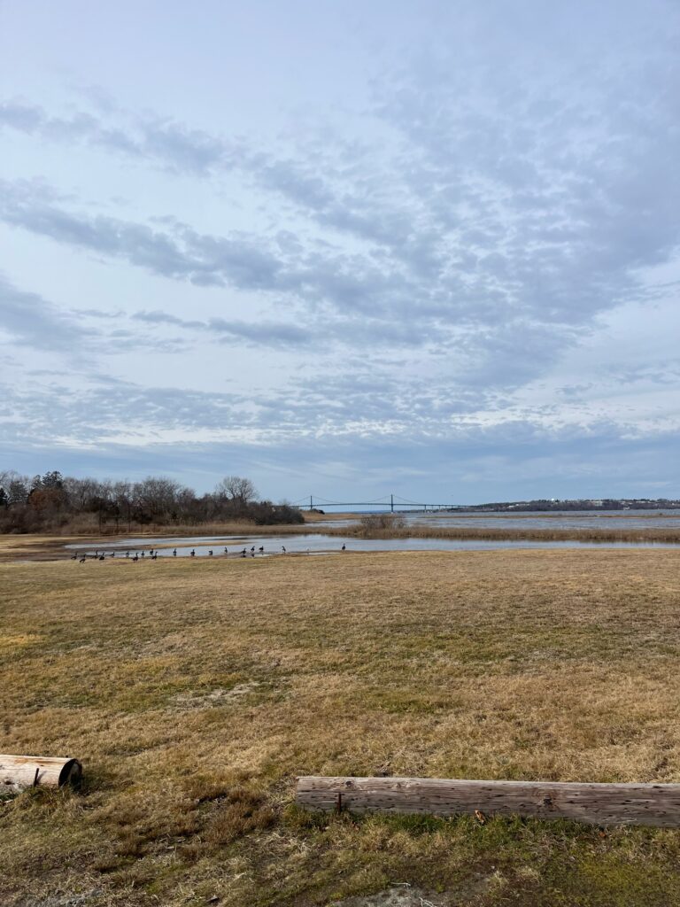 a large field with a body of water in the background (MyCoast AI)