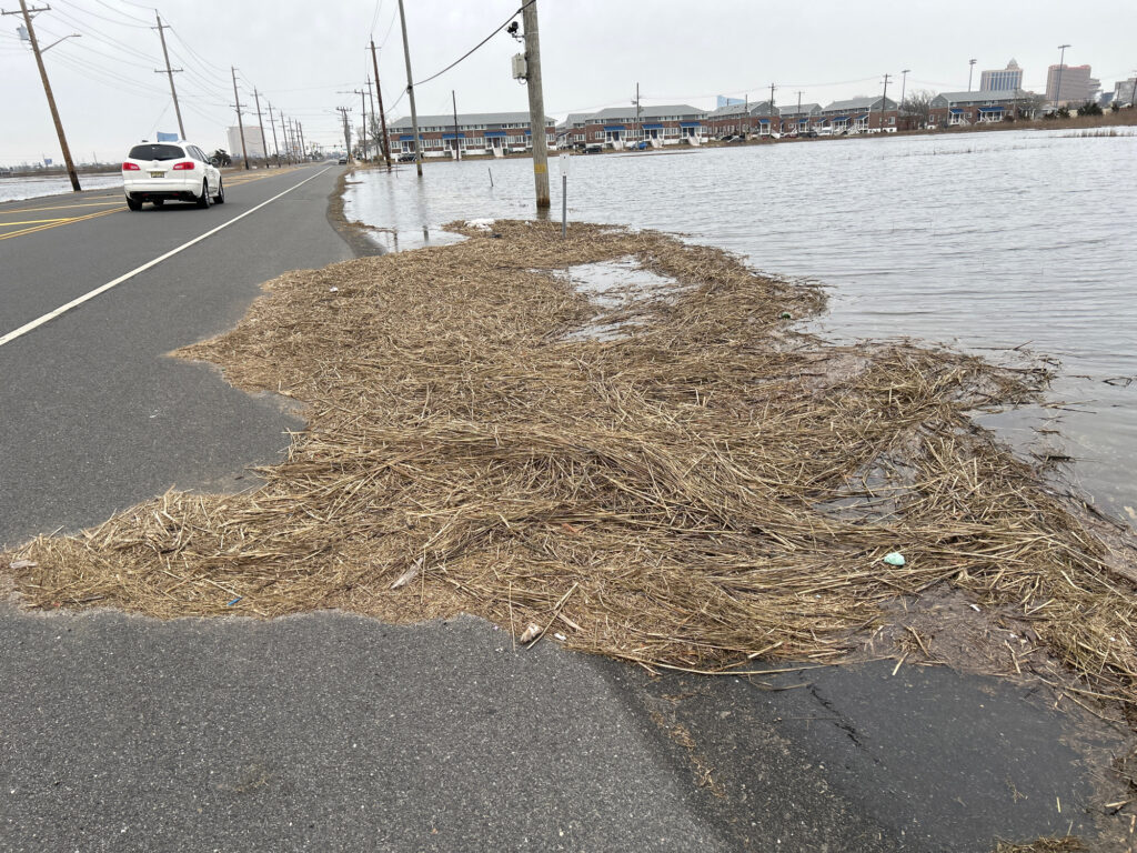 a road with a car on it and a body of water in the back (MyCoast AI)