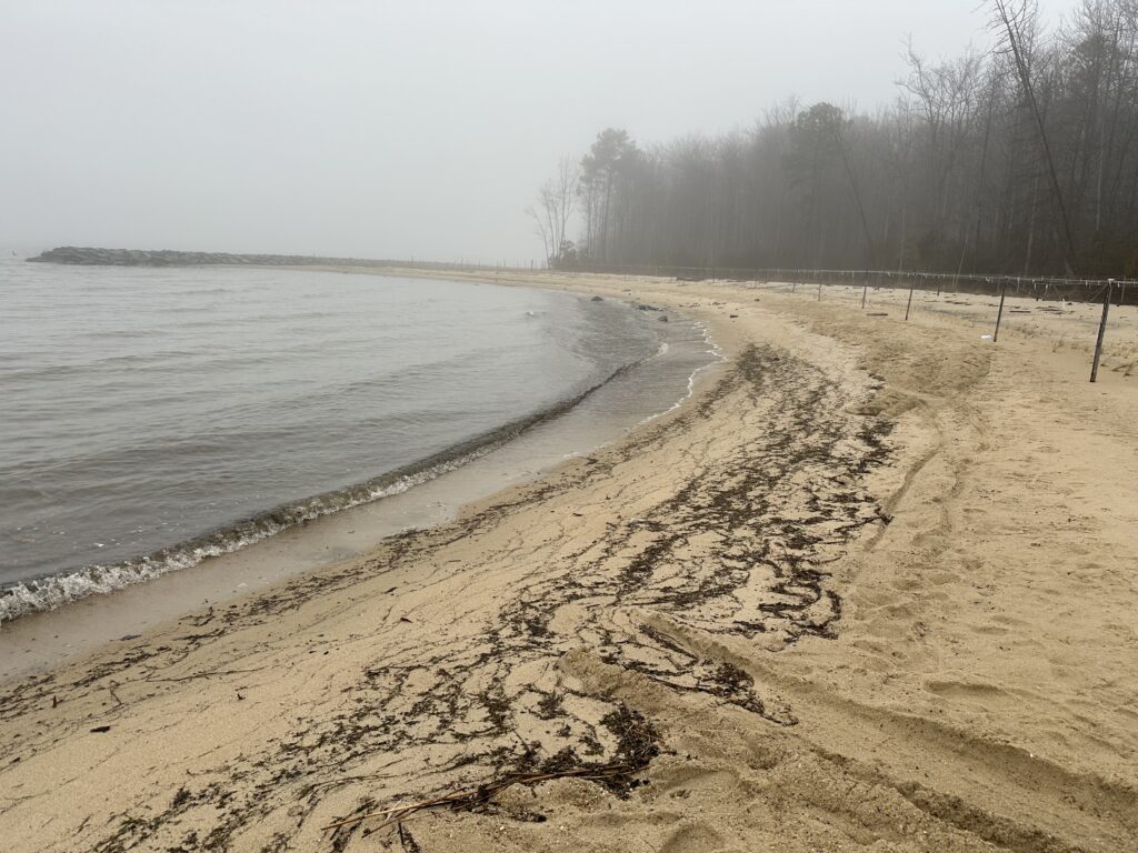 a beach with snow (MyCoast AI)