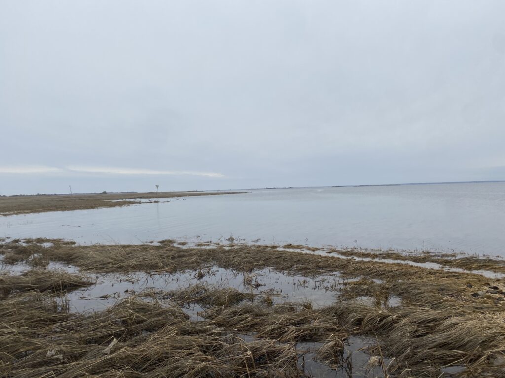 a beach with snow (MyCoast AI)